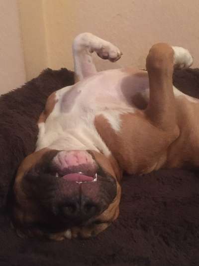 Lustige Grimassen & verrückte Posen-Beitrag-Bild