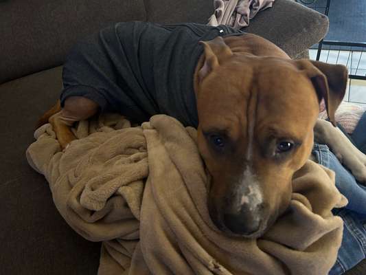 Kragen oder Post-OP-Body-Beitrag-Bild