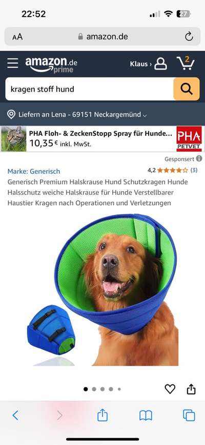 Kragen oder Post-OP-Body-Beitrag-Bild