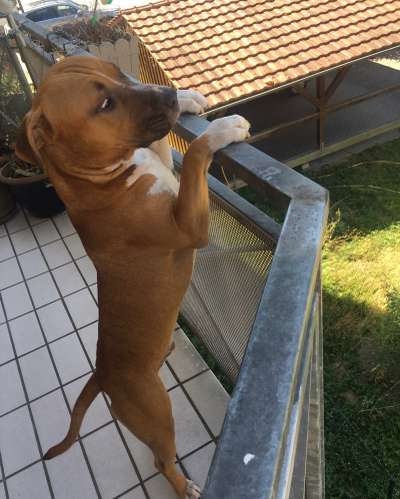 23. Handy Foto-Challenge-Beitrag-Bild