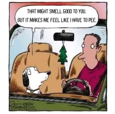 Hunde Memes-Beitrag-Bild