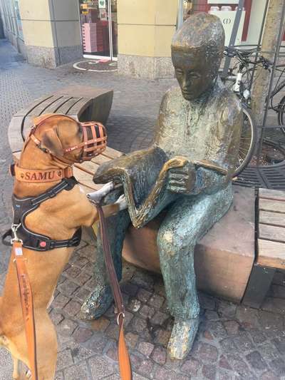 Handy Foto Challenge Nr 48: Hund und Kunst-Beitrag-Bild