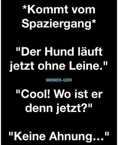 Hunde Memes-Beitrag-Bild