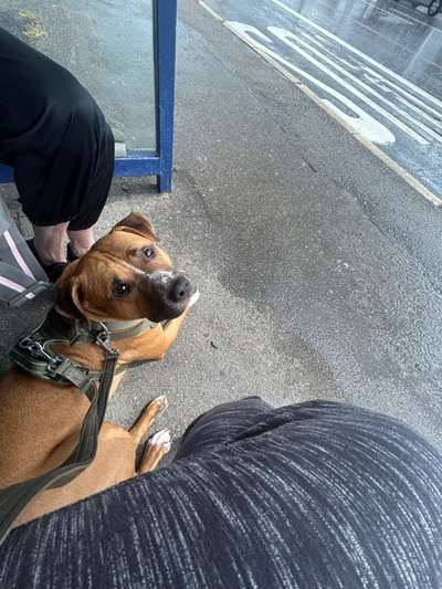 Ursache fürs Anspringen finden und beheben-Beitrag-Bild