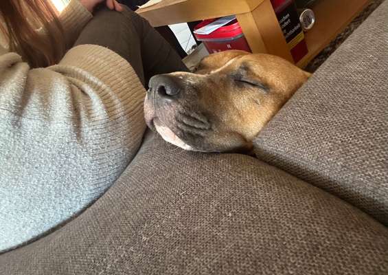 143. Fotochallenge: Ja, wo isser denn?-Beitrag-Bild