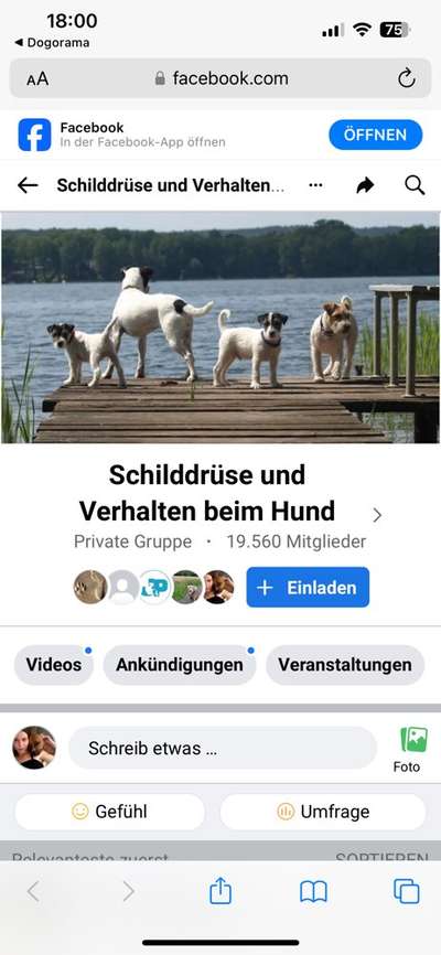 Schilddrüse-Beitrag-Bild