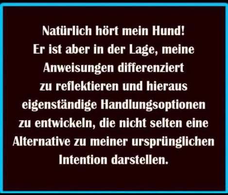 Hunde Memes-Beitrag-Bild