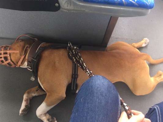 Fotochallenge 101:
On Tour-Beitrag-Bild