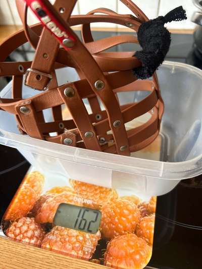 Wie sitzt mein Maulkorb / Maulkorb-Beratung-Beitrag-Bild