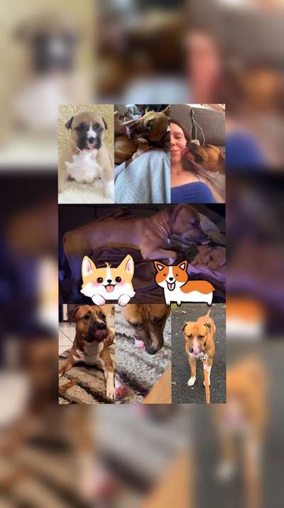 18. Collagen Challenge - Zunge raus!-Beitrag-Bild