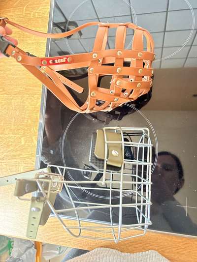 Wie sitzt mein Maulkorb / Maulkorb-Beratung-Beitrag-Bild