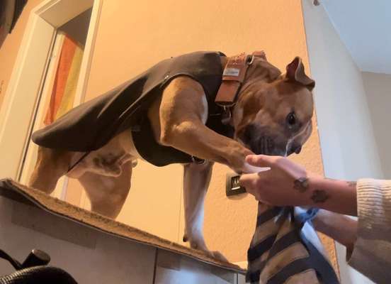 22. Handy Foto - Challenge-Beitrag-Bild