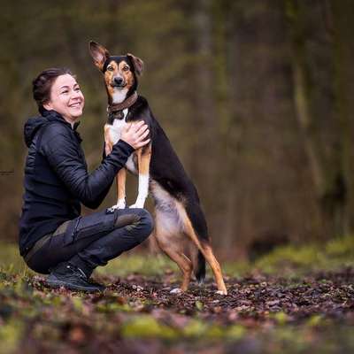Hundeschulen-sit happens - Hundetraining -Bild