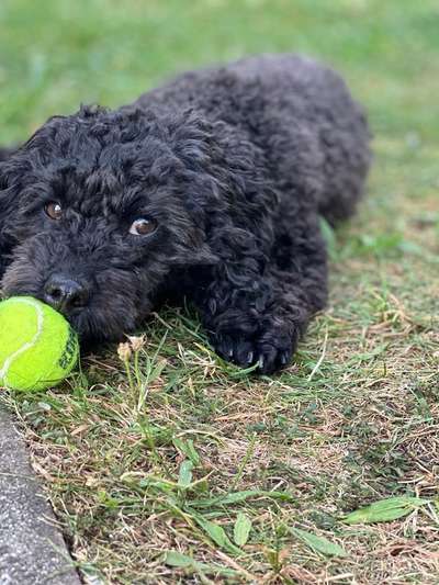 Doppelgänger gesucht !-Beitrag-Bild