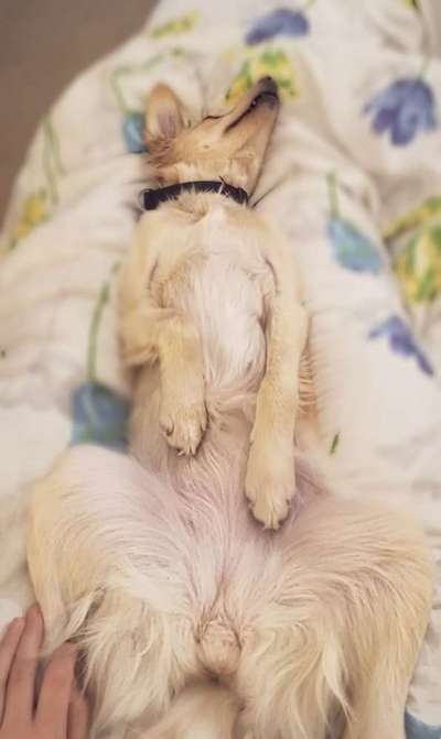 Die unbequemsten und lustigsten Schlafpositionen-Beitrag-Bild