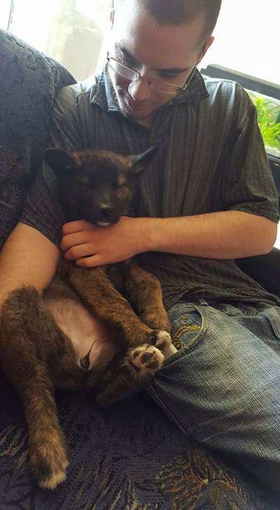 Welpen Bilder !-Beitrag-Bild