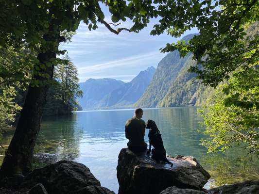 Dogorama-Monats-Challenge-Mai "Wasser"-Beitrag-Bild