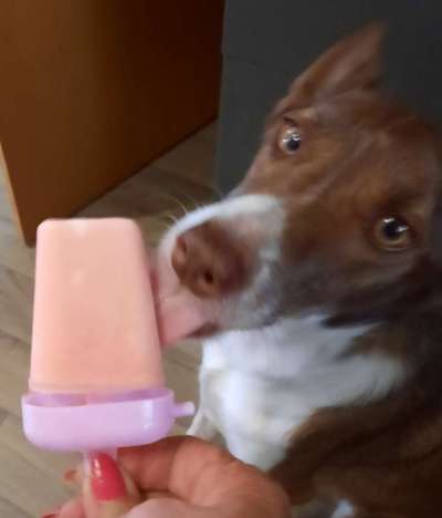 Nahaufnahme-Beitrag-Bild