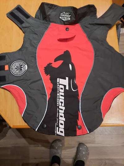 Podencomischling oder Podenco-Beitrag-Bild