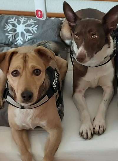 Lieblingsbild :D-Beitrag-Bild