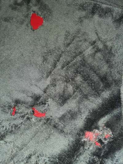 Du weißt, du hast einen Hund wenn...-Beitrag-Bild