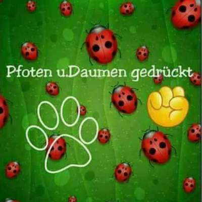 Was hat euch heute gefreut?-Beitrag-Bild