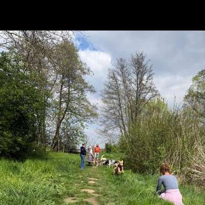 Was hat euch heute gefreut?-Beitrag-Bild