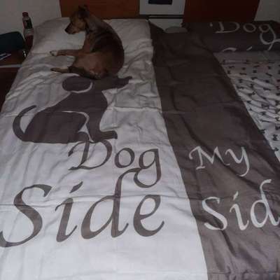 Freddys Kummerkasten-Beitrag-Bild