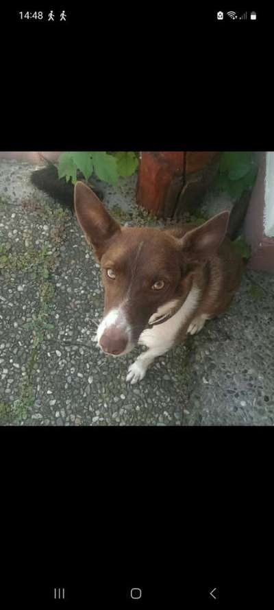 Lieblingsbild :D-Beitrag-Bild