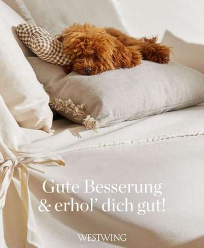 TierschutzhundeStammtisch🐕-Beitrag-Bild