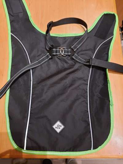 Podencomischling oder Podenco-Beitrag-Bild