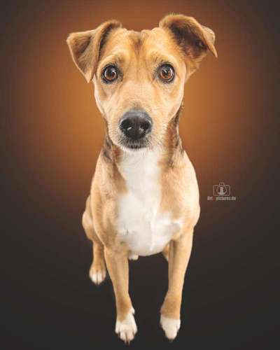 Lieblingsbild :D-Beitrag-Bild