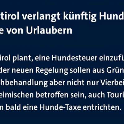 Reisen mit Hund – Eure Erfahrungen und Tipps! 🐾☀️-Beitrag-Bild