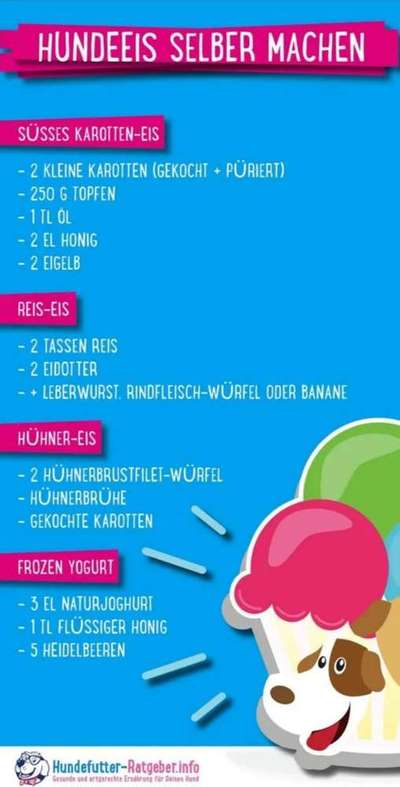 Rezepte für Hunde-Eis-Beitrag-Bild