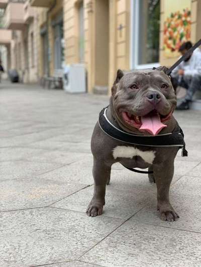 Immer lächeln !-Beitrag-Bild