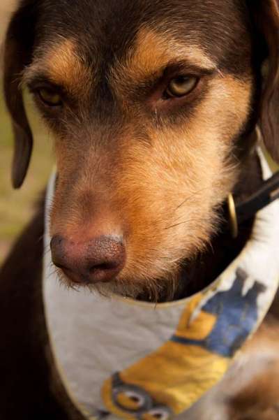 Fotochallange Nr. 57     PORTRÄT.   Beendet!!!!!!!!-Beitrag-Bild