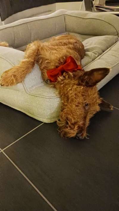 Foto Challenge Nr. 134-Beitrag-Bild