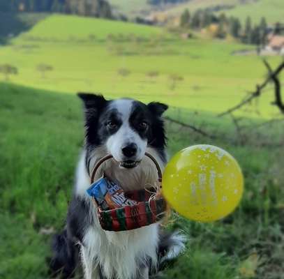 Fotochallenge Nr. 64-Beitrag-Bild