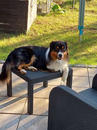 Handy-Foto-Challange Nr. 8-Beitrag-Bild