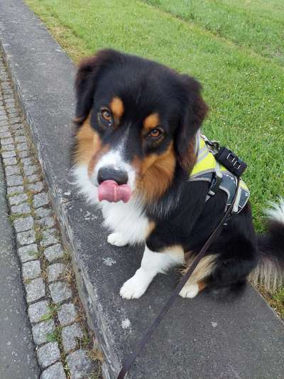 Tongue Out Tuesday-Beitrag-Bild