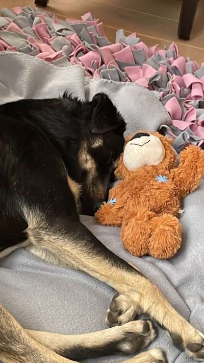 Foto Challange Nr.80-Beitrag-Bild