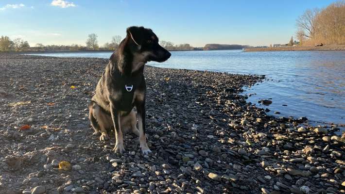 FOTOCHALLANGE NR.71 BADEFREUDE-Beitrag-Bild