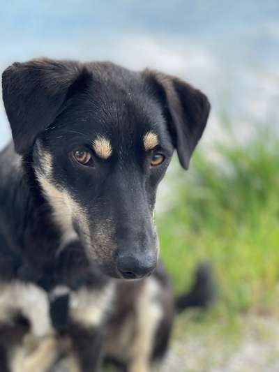 Fotochallange Nr. 57     PORTRÄT.   Beendet!!!!!!!!-Beitrag-Bild