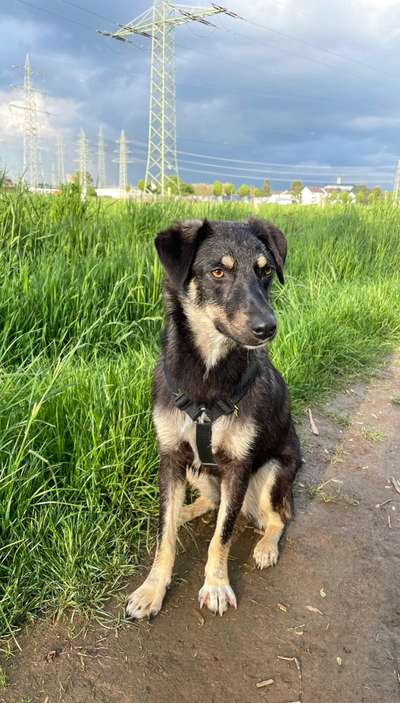 Doppelgänger gesucht !-Beitrag-Bild