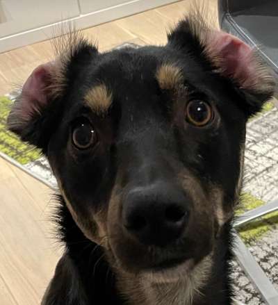 20. Handy -Foto-Callenge-Beitrag-Bild