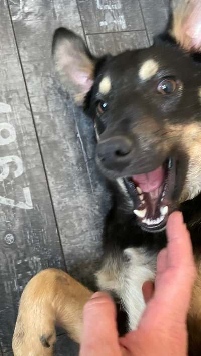 Handy-Foto Challange Nr. 10-Beitrag-Bild