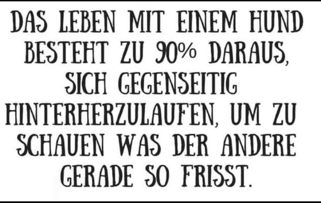 Hier ist der Spaßthread. Zum Schmunzeln und Kaputtlachen-Beitrag-Bild