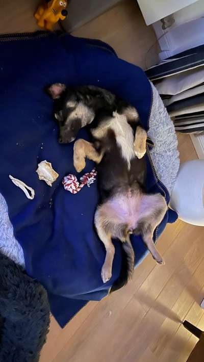 Fotochallenge Nr.65-Beitrag-Bild