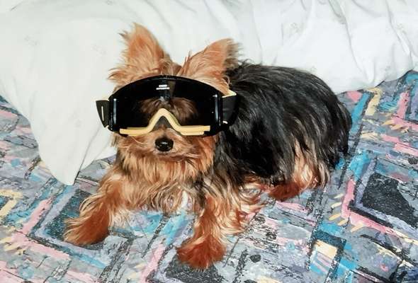 Fotochallange Nr. 57     PORTRÄT.   Beendet!!!!!!!!-Beitrag-Bild