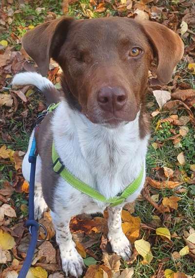 Doppelgänger gesucht !-Beitrag-Bild